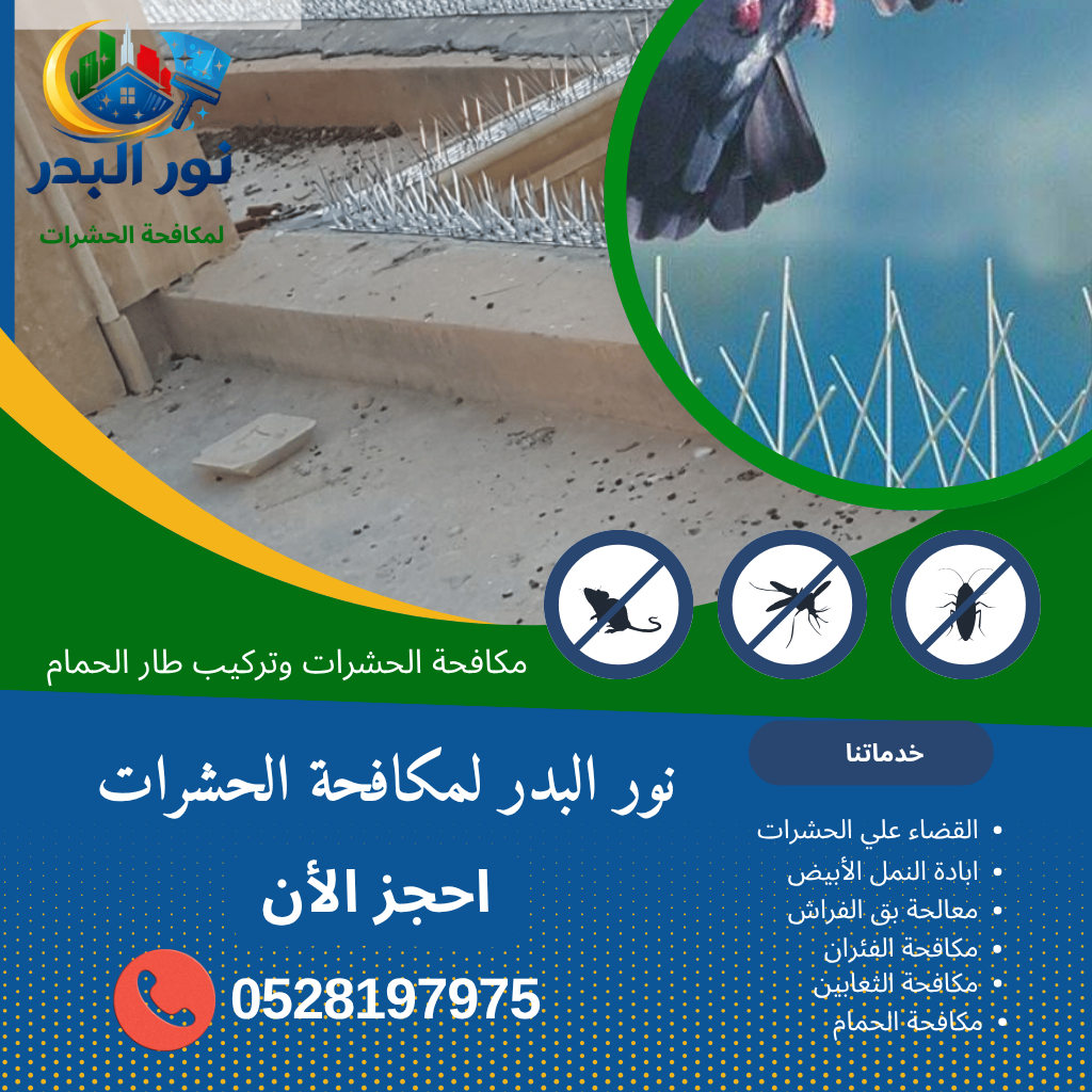 شركة مكافحة الحمام في الشارقة