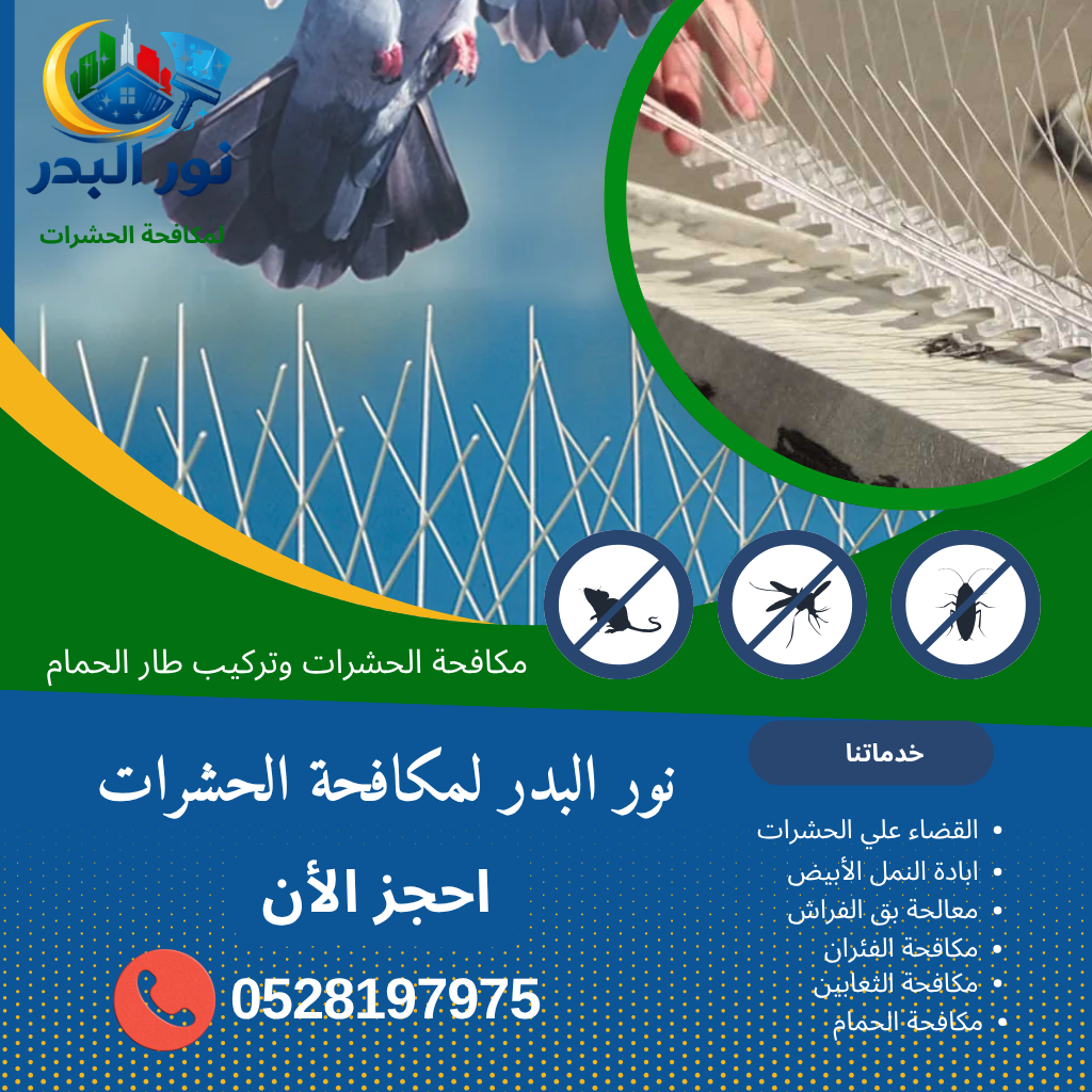 شركة رش مبيدات حشرية في عجمان