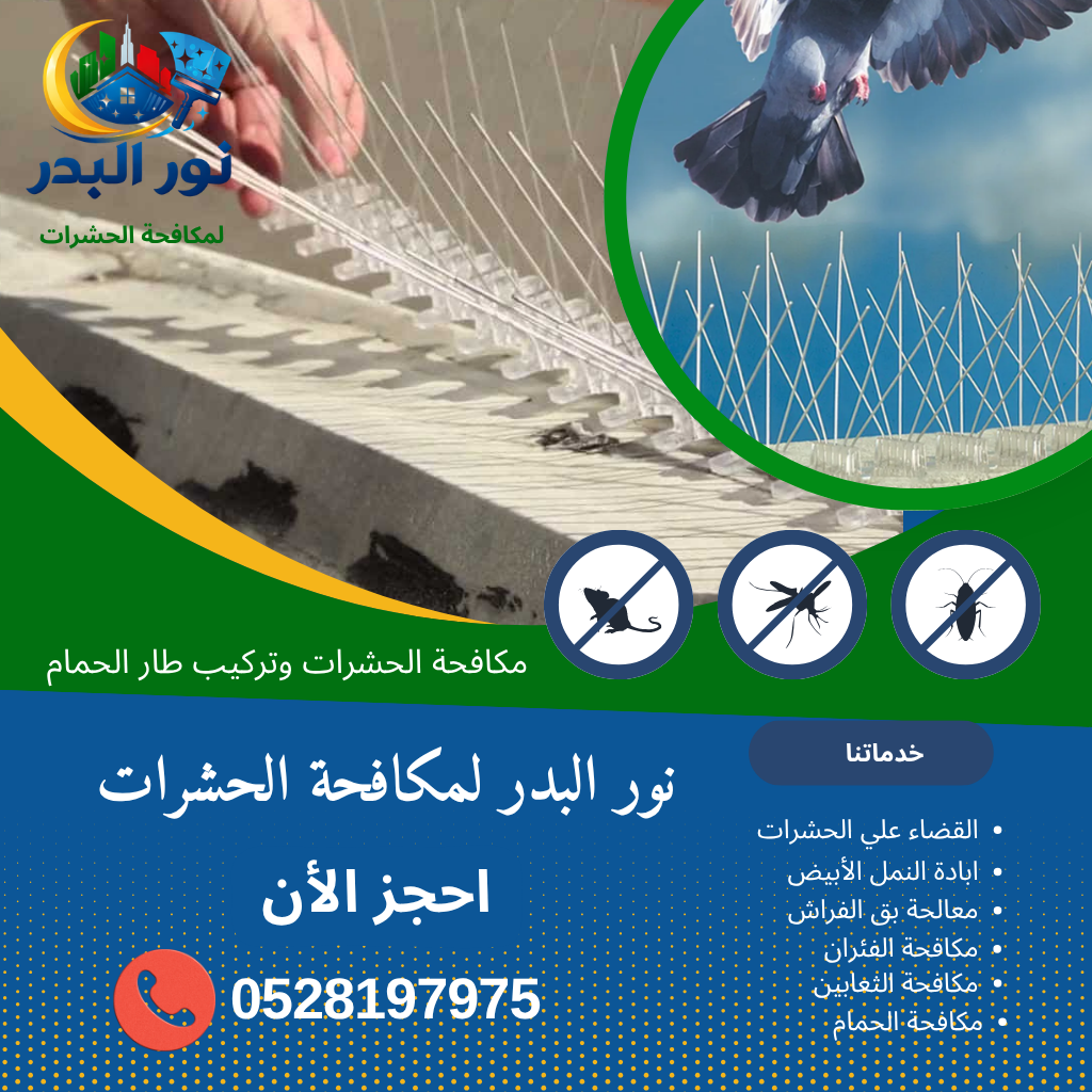 شركة مكافحة الحمام في الشارقة