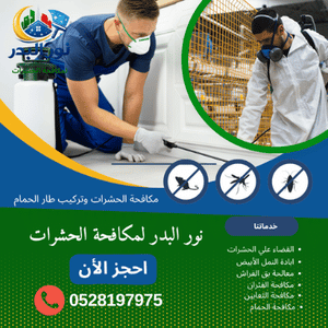 شركة مكافحة الفئران في عجمان
