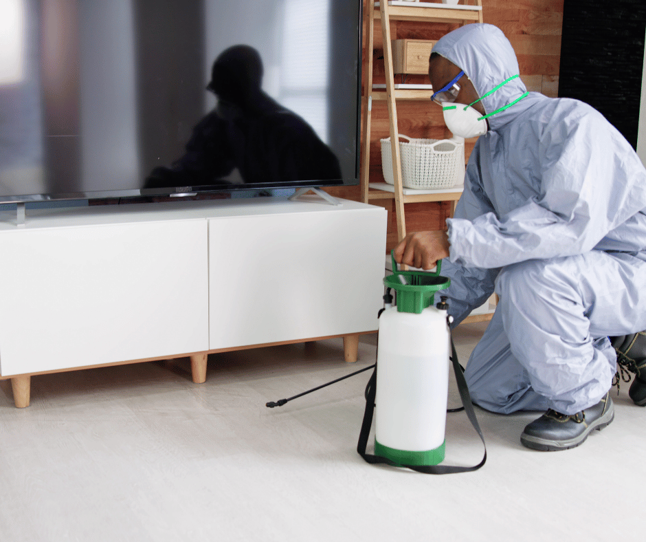 شركة مكافحة الصراصير في رأس الخيمة