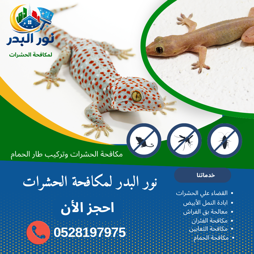 شركة مكافحة الوزغ في دبي