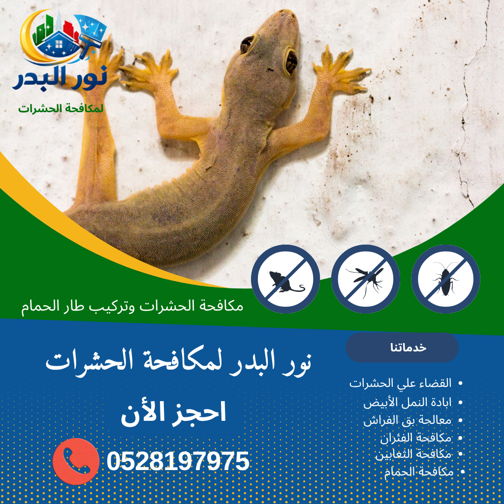 شركة مكافحة الوزغ في الشارقة