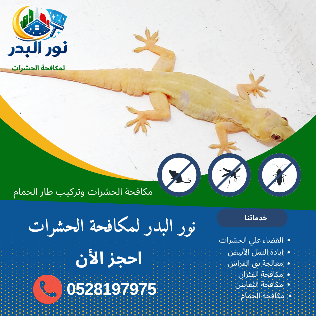 شركة مكافحة الوزغ في عجمان