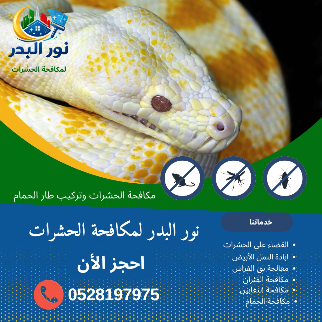 شركة مكافحة الثعابين في عجمان